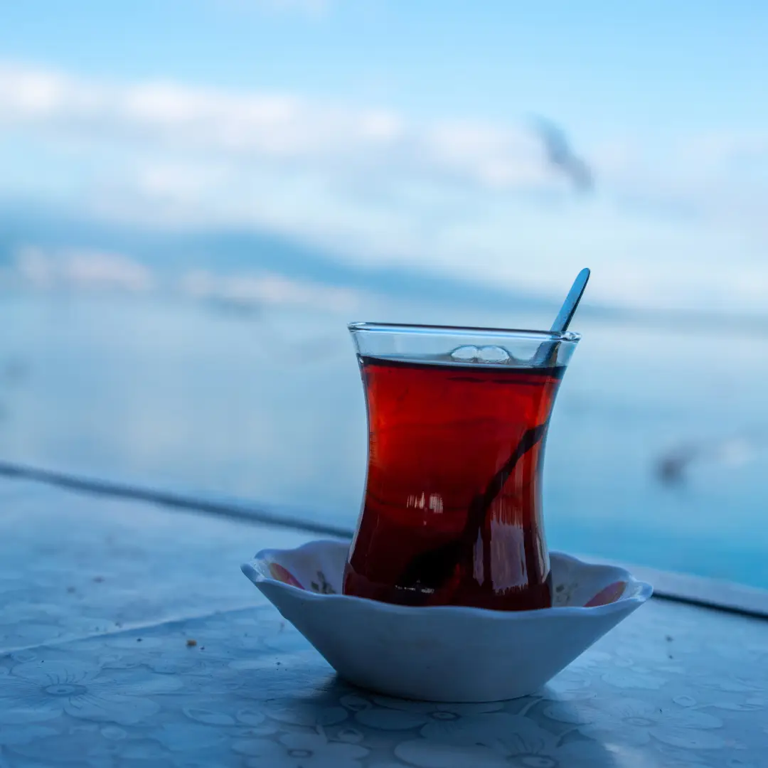 Il çay turco: storia, cultura e preparazione del tè in Turchia 2 té çay turco