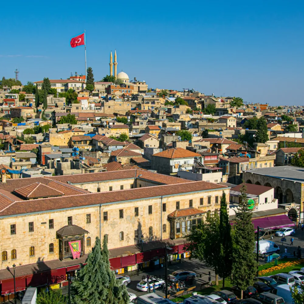 Il Pistacchio Turco di Gaziantep: l'Oro Verde dell'Anatolia 3 gaziantep